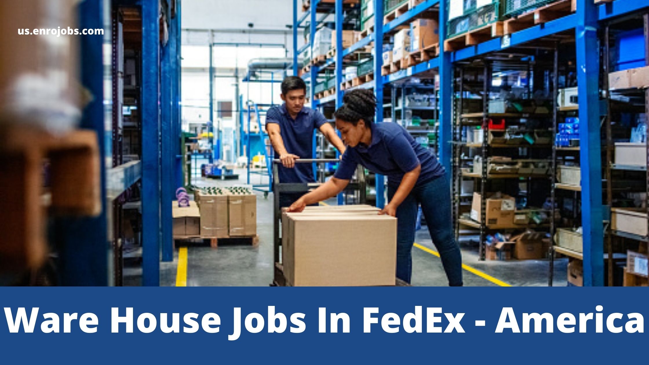 Ware House Jobs In FedEx - America - 2022