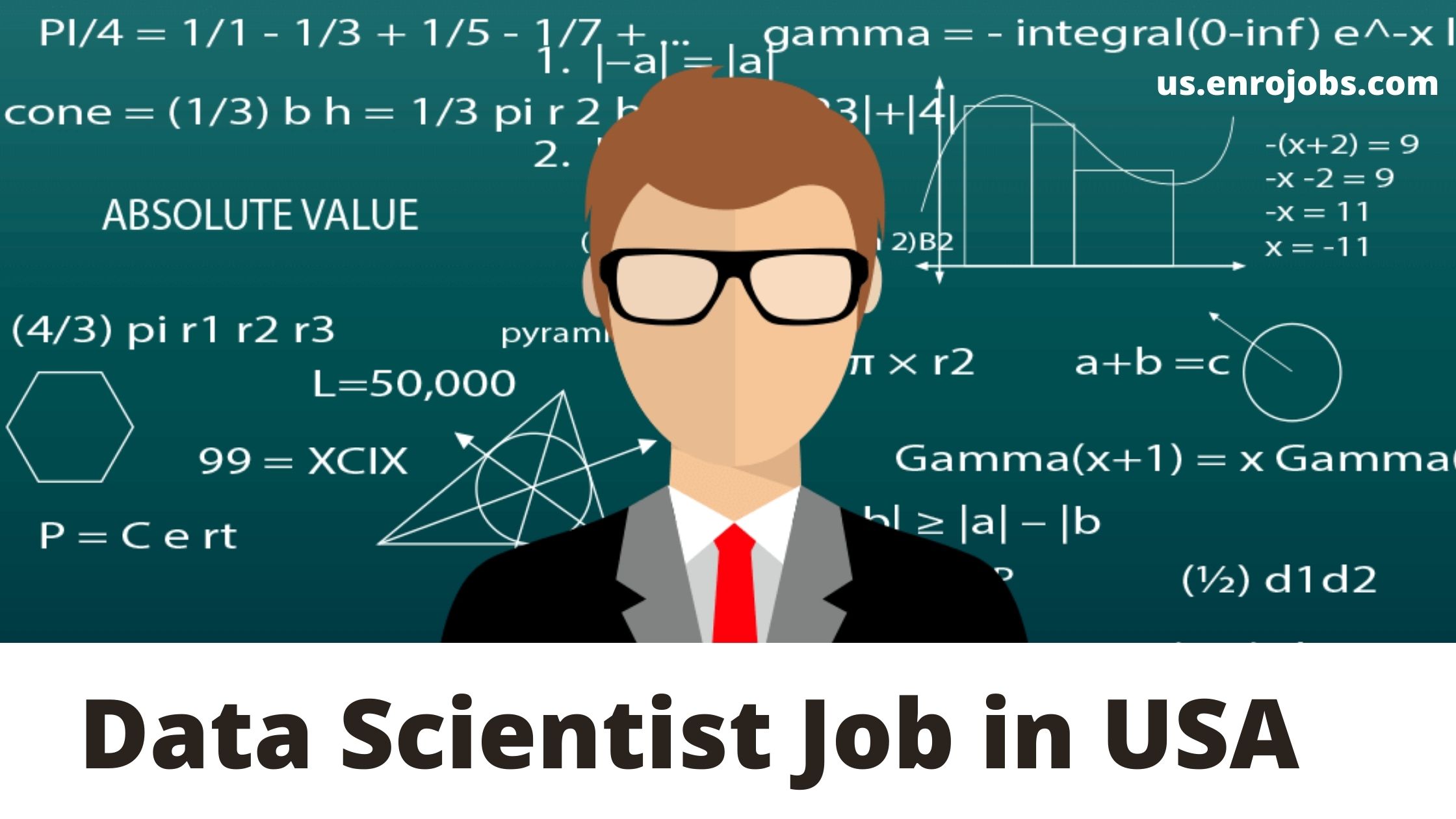 data scientist-job-USA career